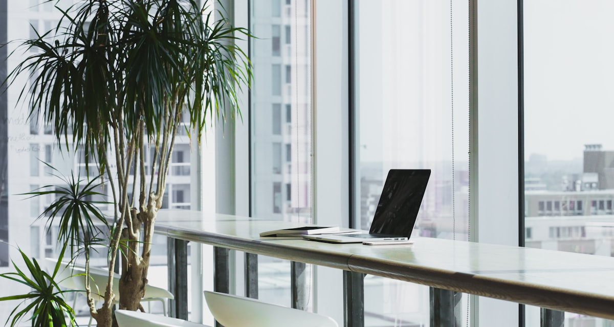 NEON in Cow Hollow and AvantSpace in the Marina — coworking spaces north of downtown San Francisco
